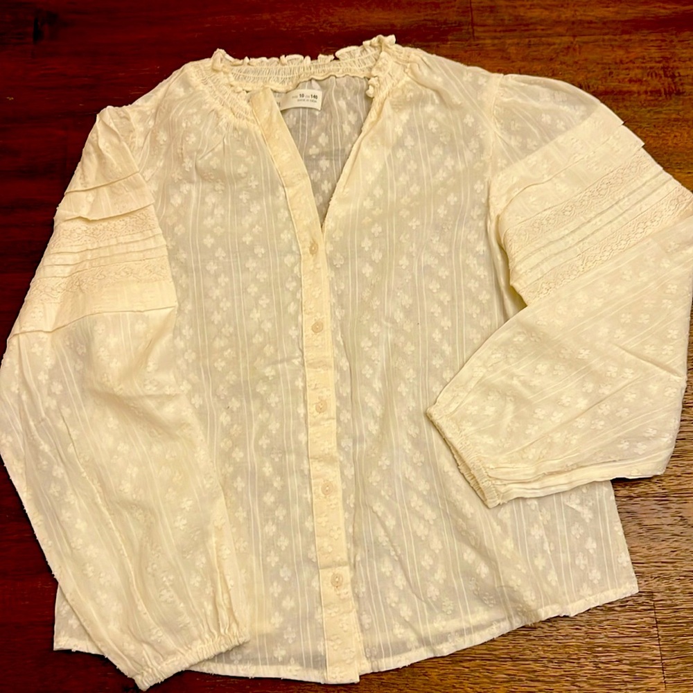 Zara ivory embroidered blouse - vneck long sleeve
